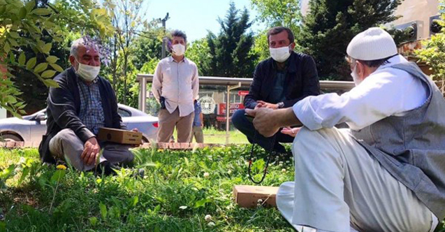 Gürsu sokakları çınarların mutluluğuyla ısındı