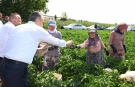 Başkan Aktaş'tan tarlada serinleten ziyaret