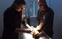 Yıldırım’da can dostlar emin ellerde