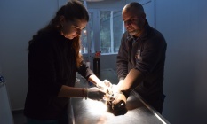 Yıldırım’da can dostlar emin ellerde