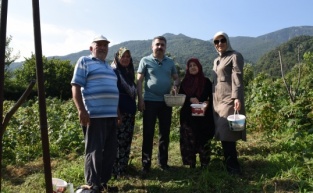 Yıldırım’da tarladan sofraya kadın eli