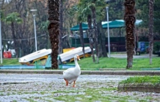 Parklar sağlık için kapatıldı