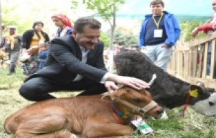 Balıkesir Büyükşehir üreticilere desteğini artırdı