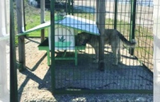 Can dostlara şefkat eli