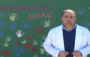 Mustafakemalpaşa Belediyesi Kültür Portalı yayınları başladı