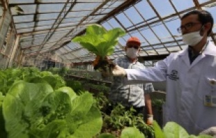 Büyükşehir Konyalı çiftçilerin yanında