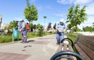 Gaziantep haşeresiz yaza hazırlanıyor