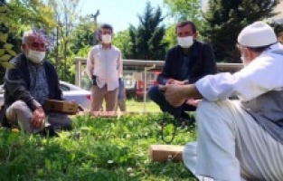 Gürsu sokakları çınarların mutluluğuyla ısındı