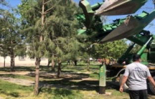 Gürsu’da doğal güzellikler korunuyor