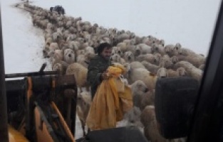 Kahramanmaraş: Mahsur kalan yaylacılar kurtarıldı