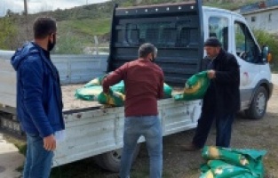 Keçiören’de çiftçilere tohum desteği