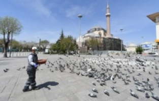 Konya’da sokak hayvanları Bayramda da yalnız değil