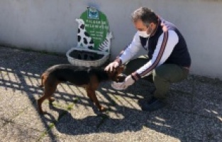 Yıldırım’da sokak hayvanlarına şefkat