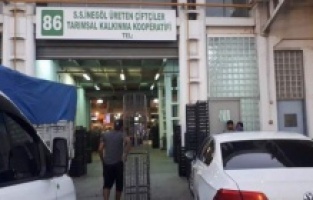 İnegöllü çiftçi artık Bursa Halinde