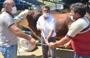 Yıldırım'da sosyal mesafeli kurban pazarı