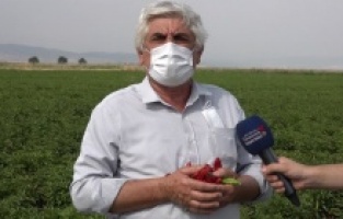 KMBB’nin tarım desteği meyvelerini vermeye başladı