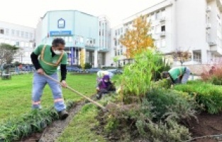 Yıldırım’da kış çiçekleri toprakla buluşuyor