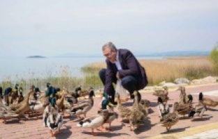 Karacabey Belediyesi pandemide de can dostlarımızı unutmuyor