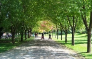 Bursa Botanik Park 15 gün daha kapalı kalacak