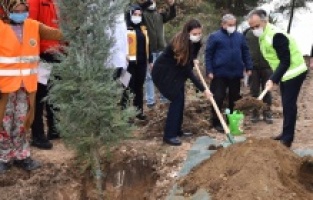 Sağlık Kahramanları Ormanı