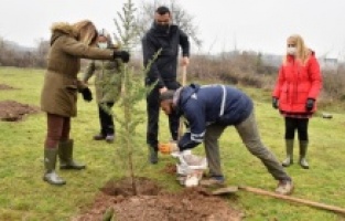 Bursa Yıldırım'da yeşil dönüşüm