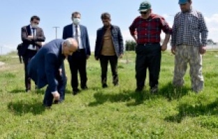 Bursa: Yenişehir Belediyesi mera ıslah çalışmalarına başladı