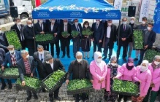 Gaziantep Büyükşehir'den Nurdağı çiftçisine dev destek