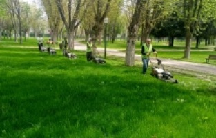 Bursa: Yeşil Bursa yaza hazırlanıyor