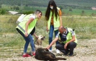 Bursa: Gönüllüler can dostlar için yasağı deldi