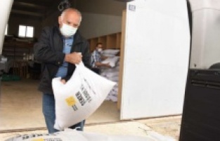 Konya: Büyükşehir’den çiftçiye yerli şeker fasulye tohumu desteği