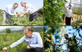 Bursa: Yerelde tarıma yatırımlar arttı