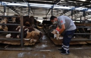 Osmangazi: Bu ekipten uçan da kaçamıyor