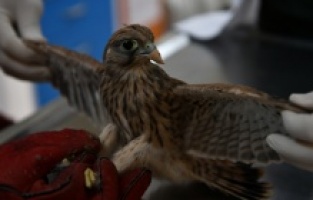 Osmangazi: Pandemide can dostlar unutulmadı