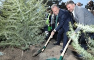 Kültür başkenti fidanları toprakla buluştu