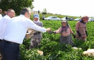Başkan Aktaş'tan tarlada serinleten ziyaret