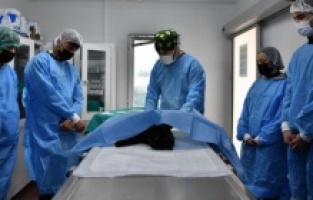 Osmangazi, can dostlara hem şifa hem yuva