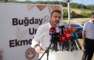 Kestel Belediyesi Türkiye’nin en ucuz ekmeği için buğdayları hasat etti