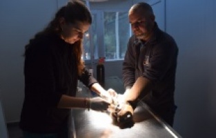 Yıldırım’da can dostlar emin ellerde