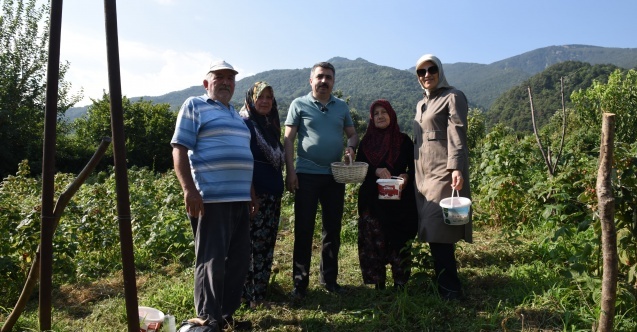 Yıldırım’da tarladan sofraya kadın eli